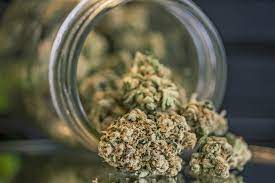 Legislación en Maryland sobre la ubicación de distribuidores de cannabis despierta debate
