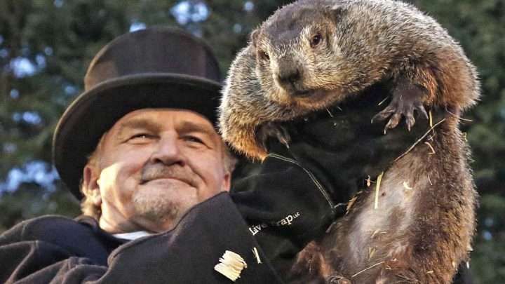 Dia de la marmota: Phill y su lucha contra el cambio climatico